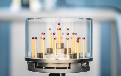 Checks and reference bodies